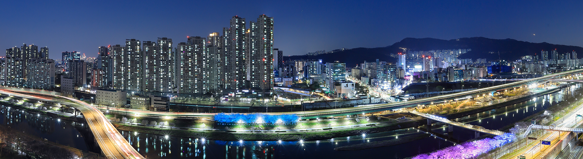 안양천 야경