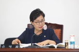 245ȸ ӽȸ Ưȸ